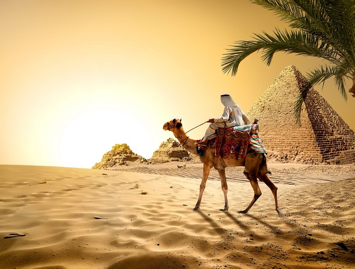 Cairo Egypt Desert Camels Pyramid Sand Hd Wallpaper