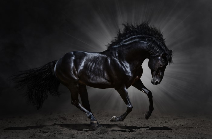 Black horse running with light rays