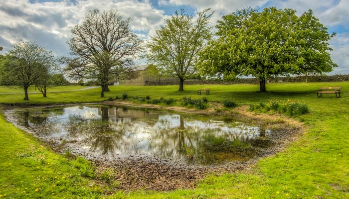 Pond and trees in Bishop Auckland, England