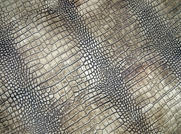 4K Crocodile Skin Texture