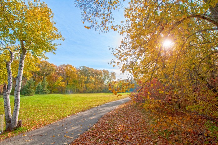 Autumn park trail with fall foliage