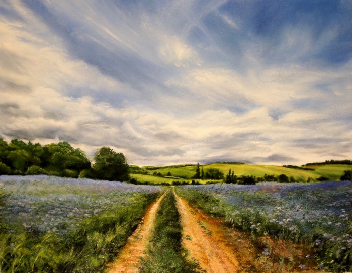 Dirt road through a field of blue flowers under a cloudy sky