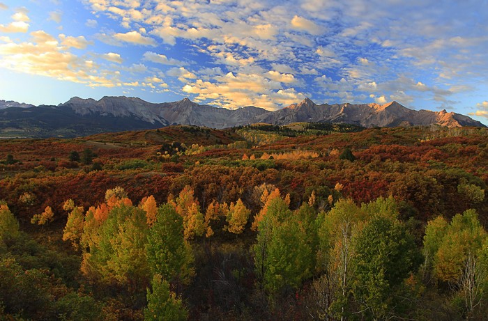 Autumn Forest and Mountains Scenery