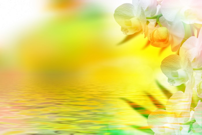 Orchids reflected in water
