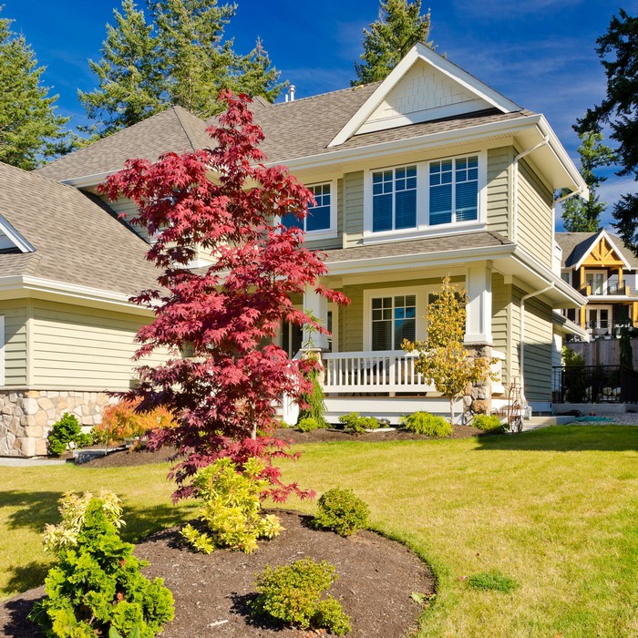 A modern house with a red maple tree in the front yard