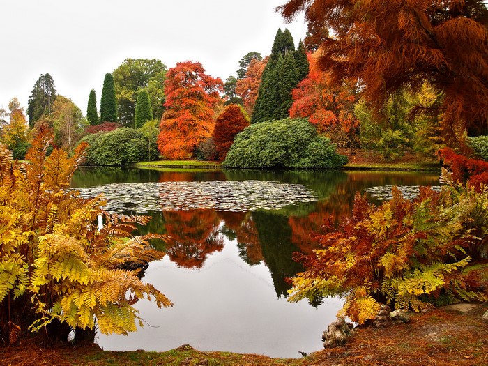 Sheffield Park Garden Pond in Autumn, United Kingdom