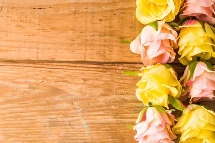 Roses on a wooden background