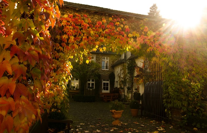 Autumn foliage on a house with sun rays