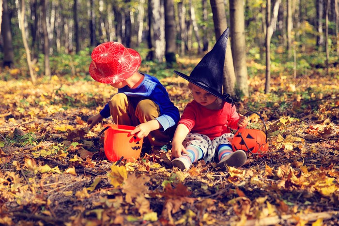 Two children in Halloween costumes in a forest