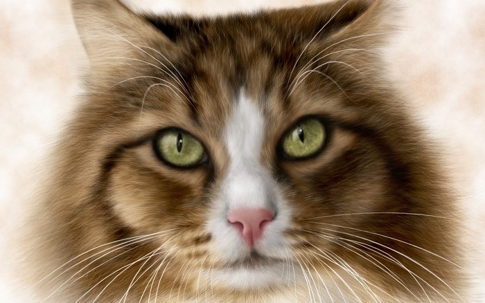 Painting of a brown and white cat's face