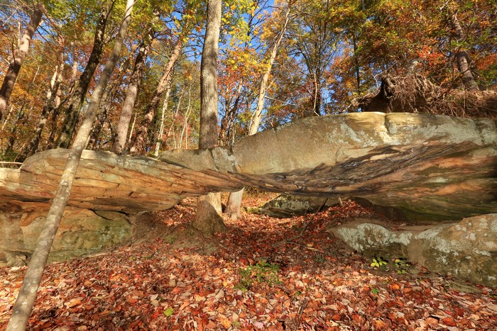 Forest rock bridge in Grundy County, Tennessee during autumn