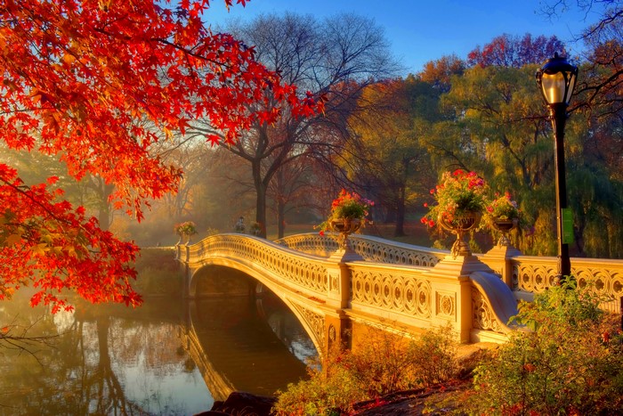Bow Bridge in Central Park during Autumn