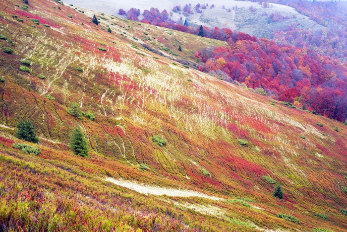 Autumn in the Ukrainian Carpathians