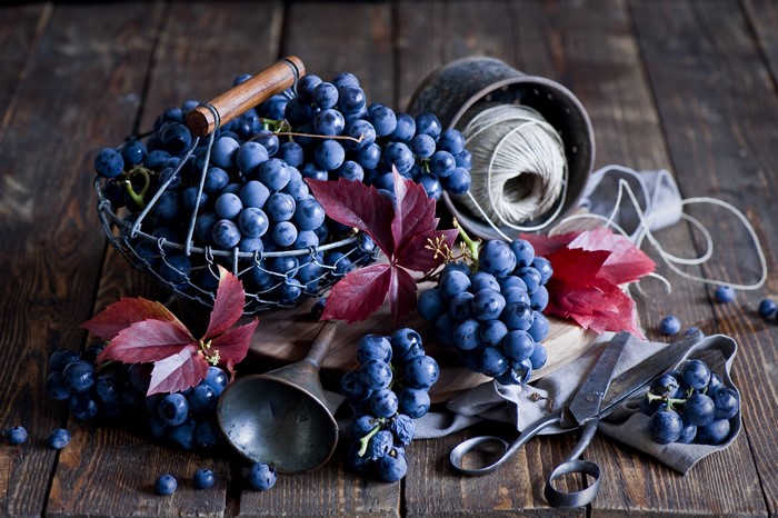 Grapes in a basket with twine and scissors
