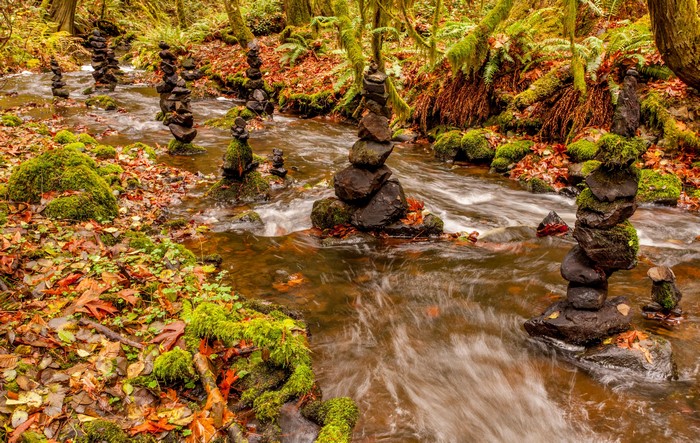 4K Autumn Foliage at Tod Creek Waterfalls