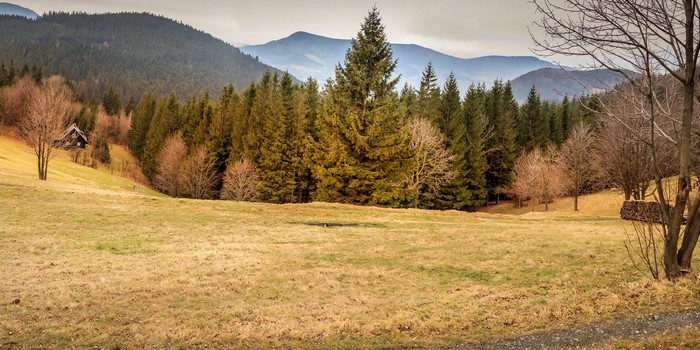 Autumn landscape with a cabin in the Czech Republic mountains