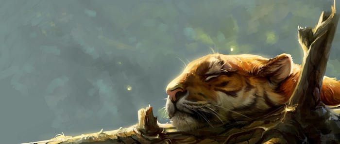 Tiger sleeping on a tree branch