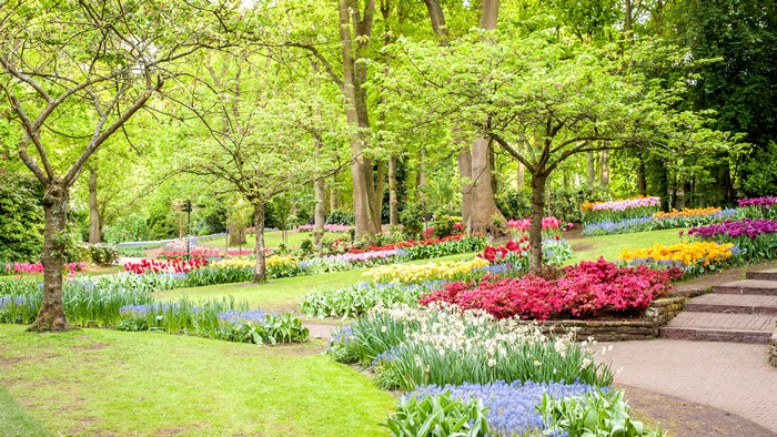 Keukenhof Gardens in the Netherlands during Spring