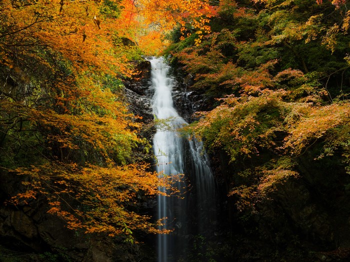 Waterfall in Autumn Forest