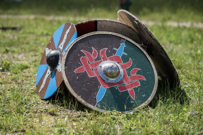 Viking Shields on Grass