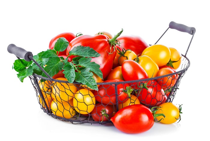 Tomatoes in a Wicker Basket