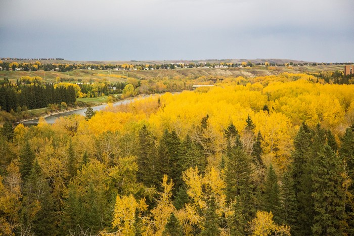 Autumn forest with river and town in Calgary, Canada