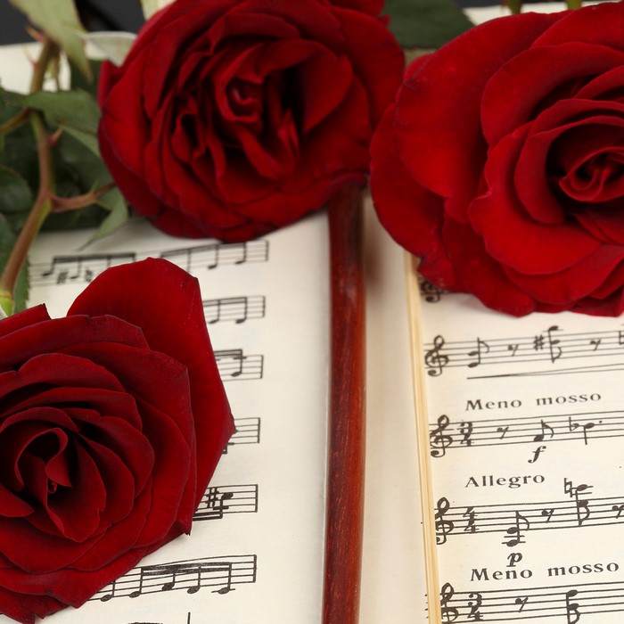 Red roses on sheet music