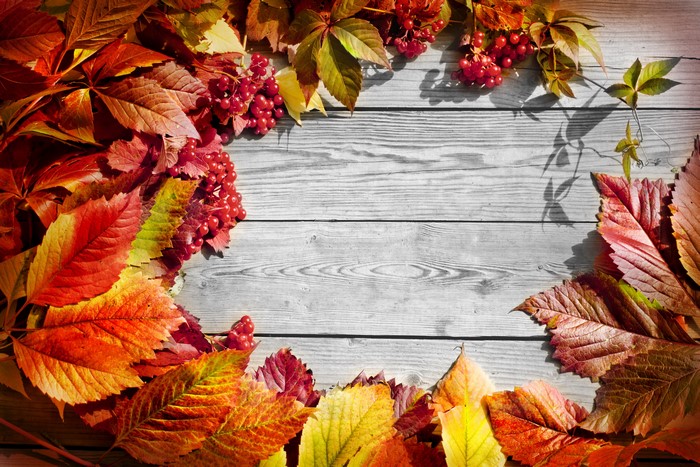 Autumn leaves and berries on wood planks
