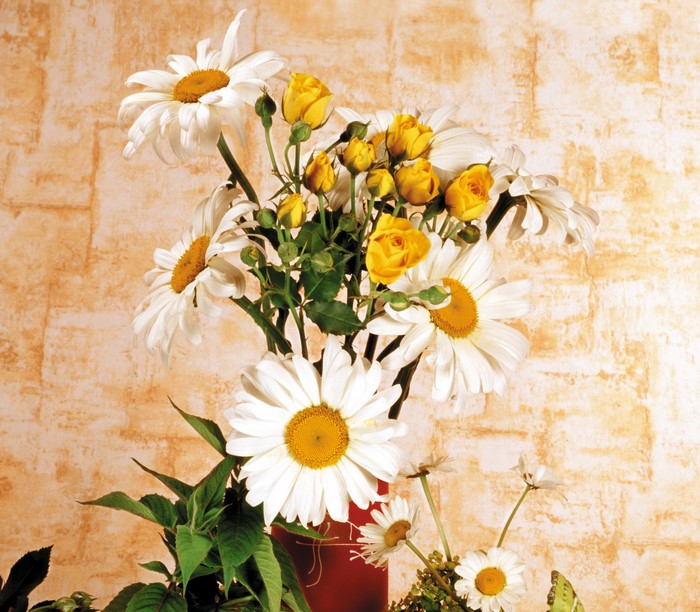Bouquet of white daisies and yellow roses in a red vase