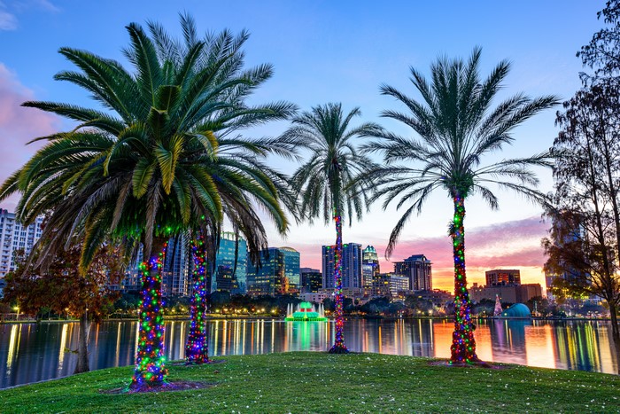 Orlando Lake Eola Park with illuminated palm trees at dusk