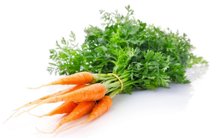 Bunch of fresh carrots with green tops