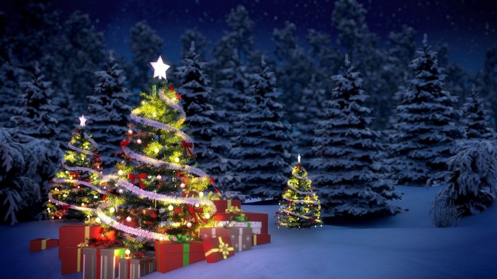 Decorated Christmas trees with gifts in a snowy forest at night