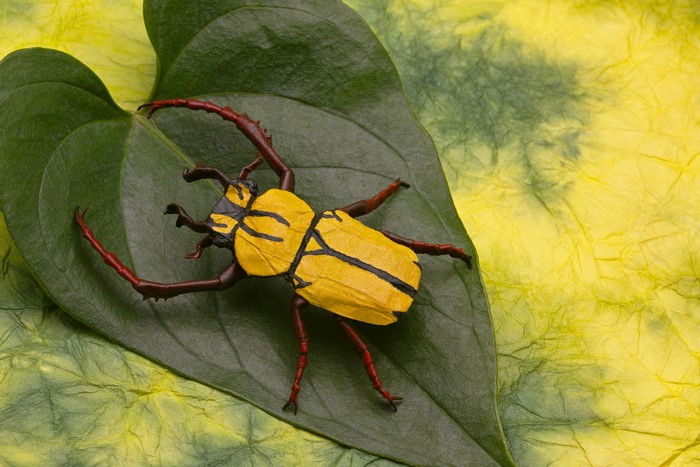 Origami Yellow Beetle on Green Leaf
