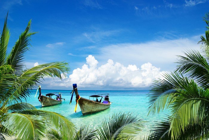4K Tropical Beach with Boats and Palm Trees