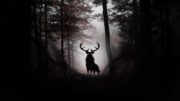 Silhouette of a deer with large antlers in a dark forest