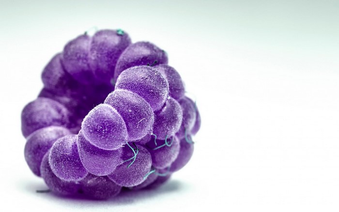 Purple raspberry on a white background