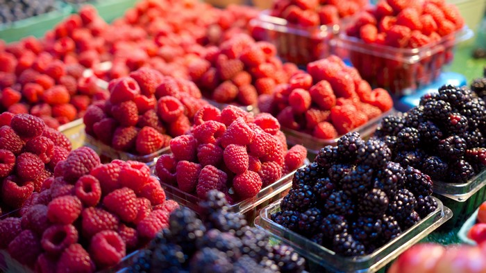 Raspberries and Blackberries in Containers