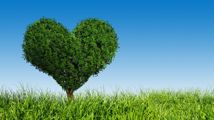 Heart-shaped tree in grass under blue sky