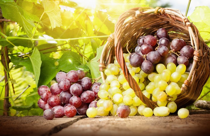 Grapes in a Wicker Basket