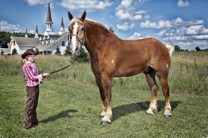 Woman with Horse in front of White Buildings