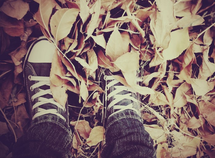 Person wearing plimsoll shoes standing on autumn foliage
