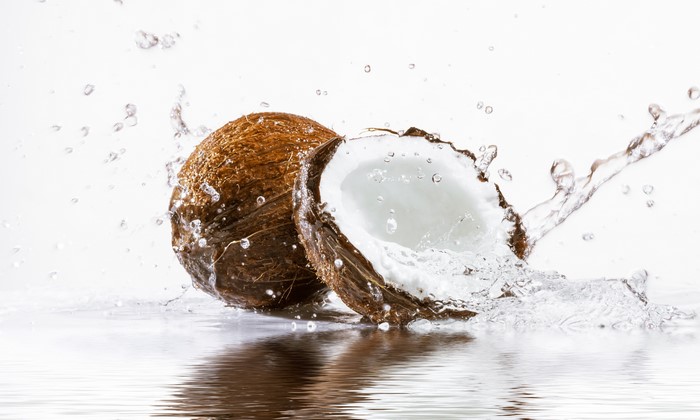 Coconuts with Water Splash on White Background