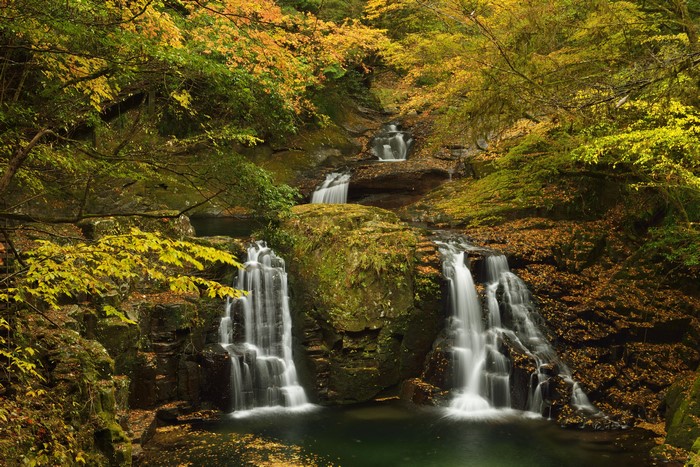 Waterfalls in Autumn Forest with Mossy Rocks