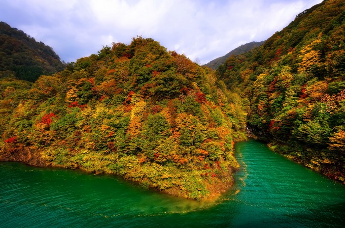 Autumn forest and lake in Japan