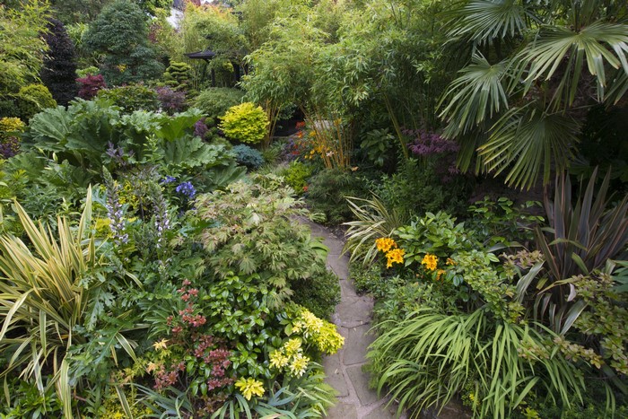 Walsall Garden in England with various plants and a stone path