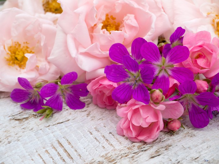 Pink Roses and Purple Flowers on Wood