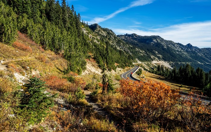 Mountain Road with Autumn Foliage and Evergreen Trees