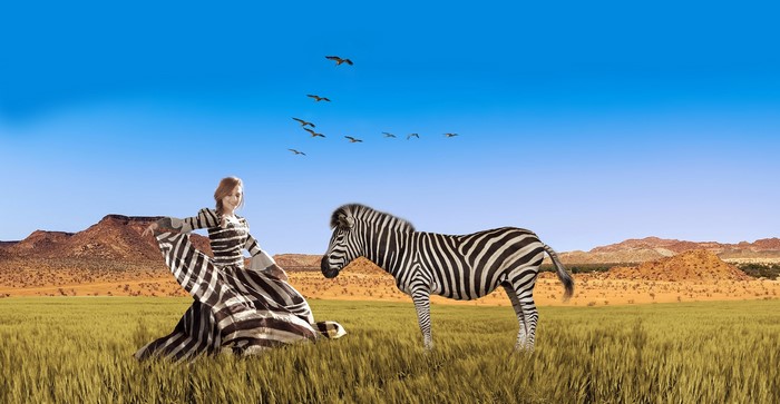 Woman in striped dress with zebra in grassy field