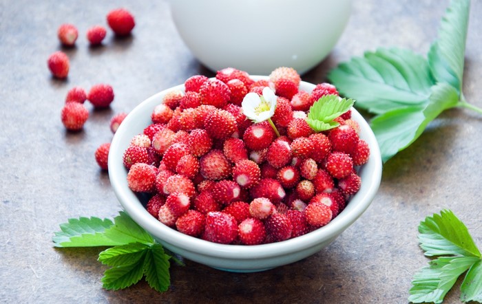 Wild Strawberries in a Bowl with Leaves
