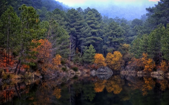 Autumn forest reflected in a lake